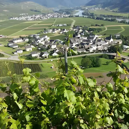 Apartamento Mosel Familienurlaub Zickzack *