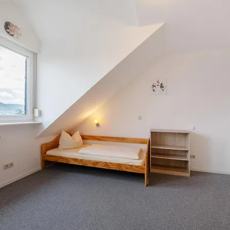 Mosel Familienurlaub Zickzack アパート *